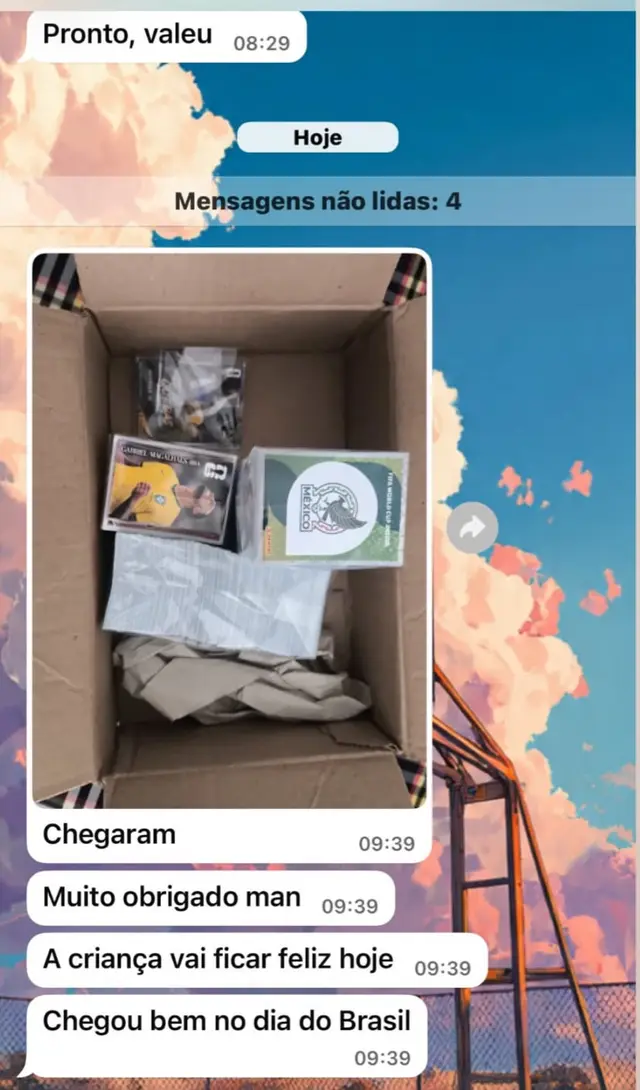 Conversa de WhatsApp: cliente recebeu a caixa de figurinhas e agradece dizendo que a criança vai ficar feliz