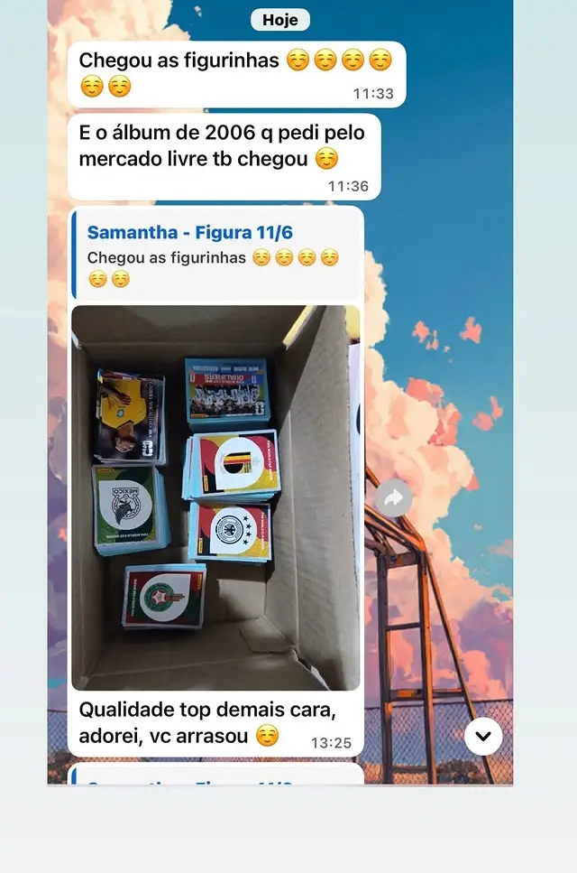 Conversa de WhatsApp: cliente mostra a caixa com os maços recebidos e elogia a qualidade