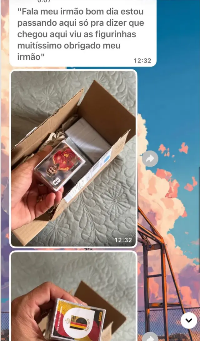 Conversa de WhatsApp: cliente abre a caixa com os cards protegidos e agradece a entrega